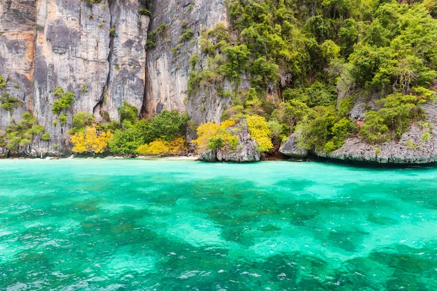 Baía de macaco na ilha de Phi Phi