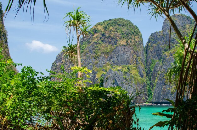 Baía Maya Bela praia na ilha de Phi Phi, Tailândia, março de 2024