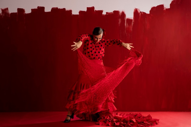 Foto bailaora de flamenco apasionada y elegante