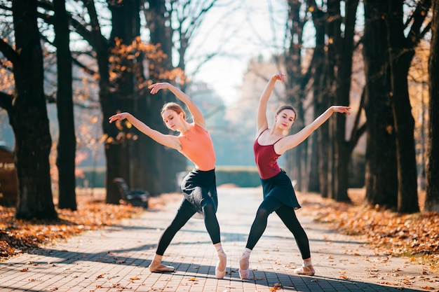 Bailarinas mulheres dançando, posando e vomitando folhas no outono park