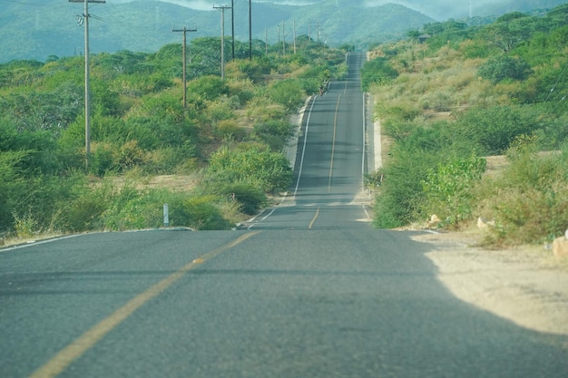 baja california la paz a san jose del cabo camino sin fin