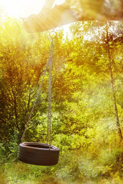 Foto balançando o pneu caseiro em uma árvore na floresta de verão. ninguém no balanço. solidão