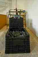 Foto balanza de hierro de 500 kg pesando cajas de uva en vendimia
