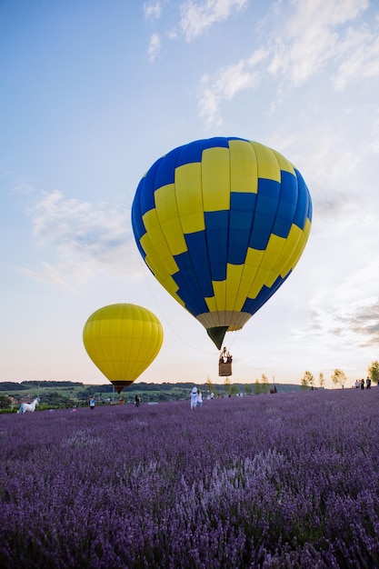 Balão de ar com cesta acima do espaço da cópia do campo de lavanda