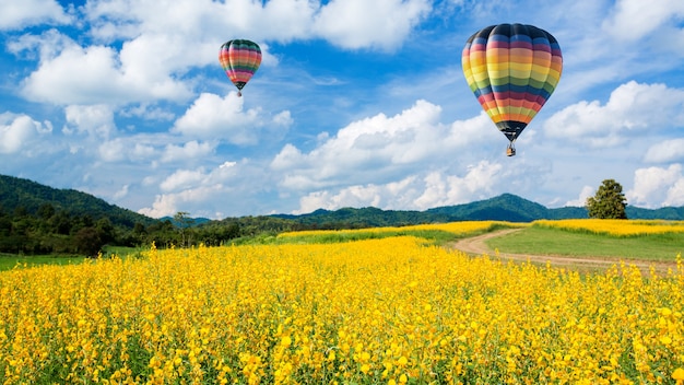 Balão de ar quente sobre campos de flores amarelas contra céu azul