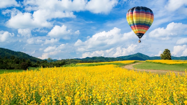 Balão de ar quente sobre campos de flores amarelas contra o céu azul