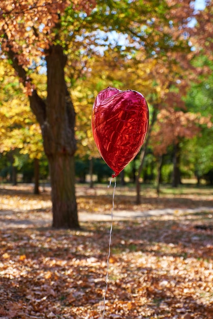 Balão vermelho voa no parque outono