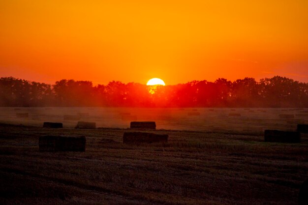 Balas cuadradas de paja de trigo seco prensada en el campo después de la cosecha verano soleado puesta de sol amanecer balas de campo