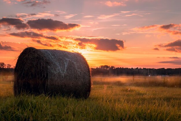 Balas de feno no campo contra o céu durante o pôr-do-sol