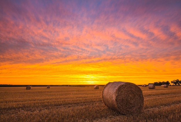 Foto balas de feno no campo contra o céu durante o pôr-do-sol