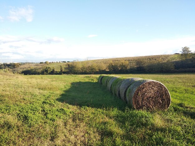 Foto balas de feno no campo contra o céu