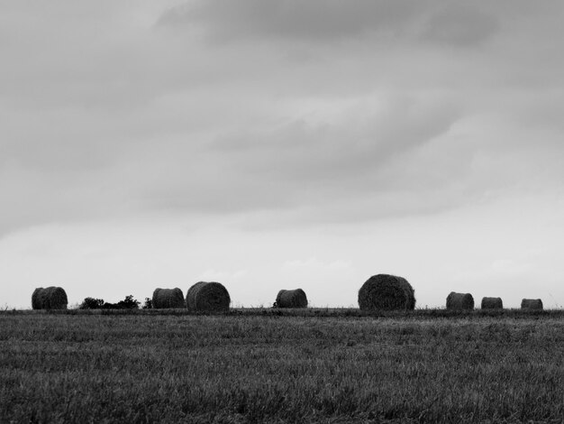 Balas de feno no campo contra o céu