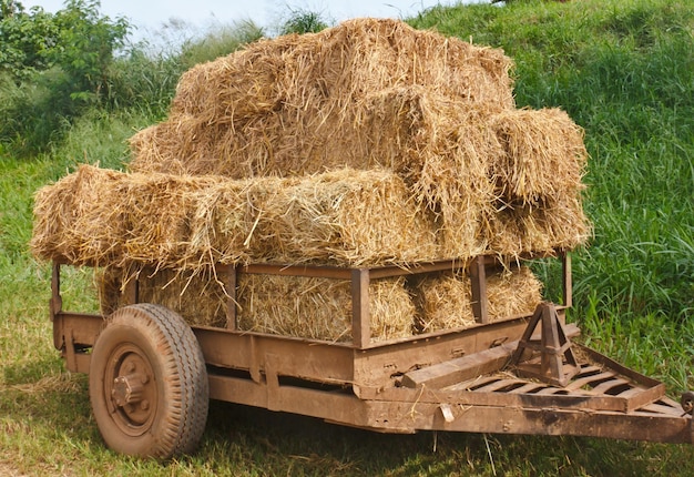 Foto balas de feno no campo