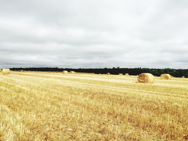 Balas de heno en el campo contra el cielo