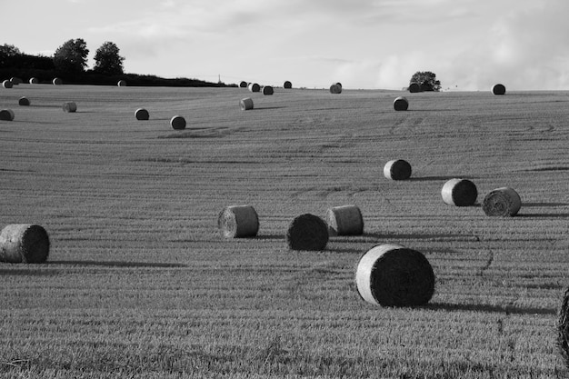 Balas de heno en el campo contra el cielo