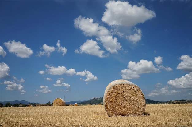 Foto balas de heno en el campo contra el cielo