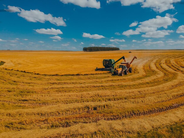 Foto balas de heno en el campo contra el cielo