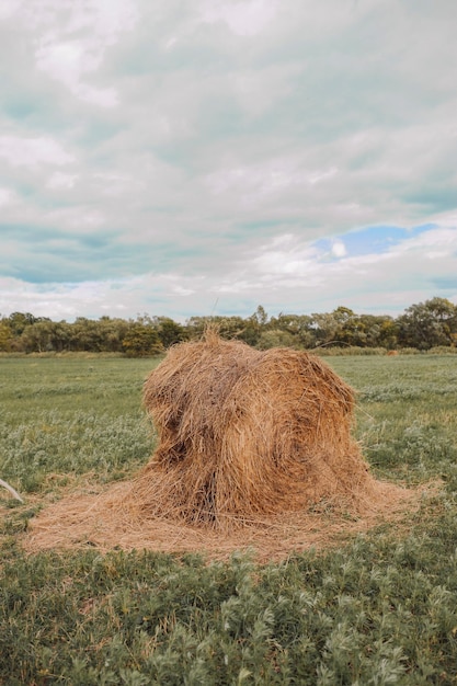 Balas de heno en el campo contra el cielo