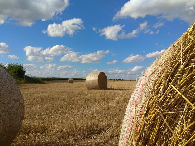 Foto balas de heno en el campo contra el cielo