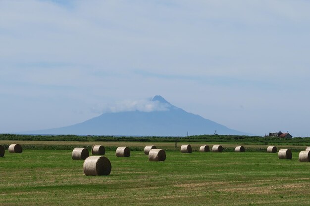 Foto balas de heno en el campo contra el cielo