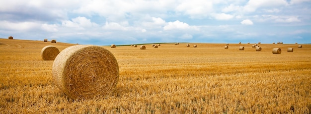 Foto balas de heno en el campo contra el cielo