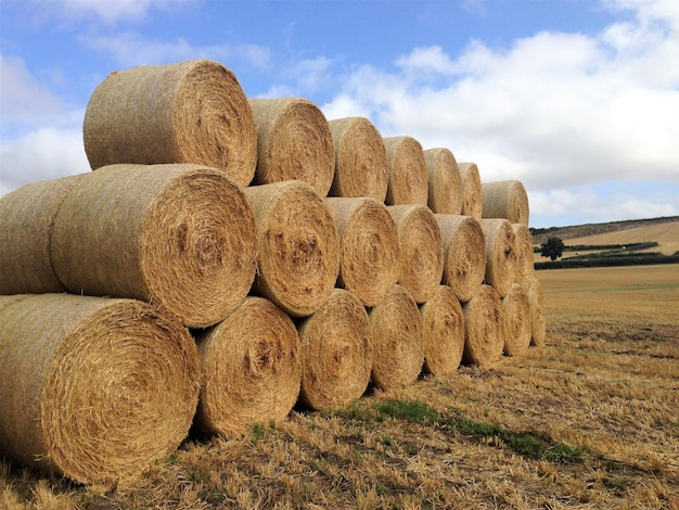 Balas de heno en el campo contra el cielo.