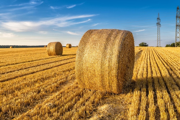 Balas de heno en el campo dorado de la agricultura