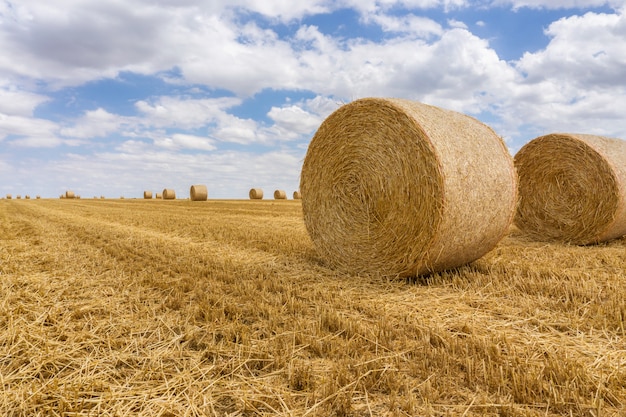 Balas de paja apiladas en un campo en Reims, Francia