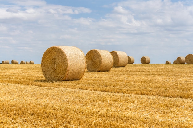 Balas de paja apiladas en un campo en Reims, Francia