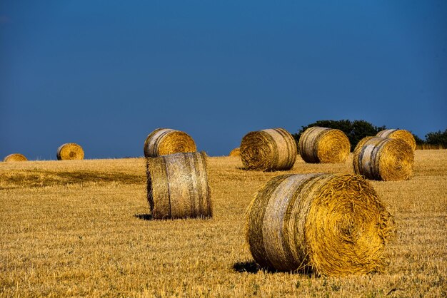 Balas de paja en tierras de cultivo con cielo azul