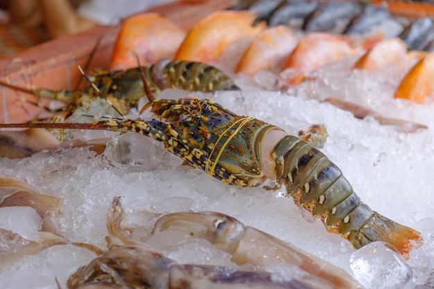 Balcão em um restaurante de frutos do mar exibindo um pescado fresco para o jantar