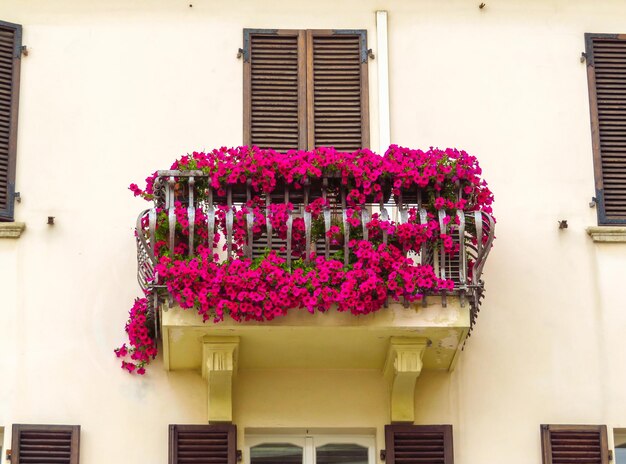 Balcón con flores de buganvilla