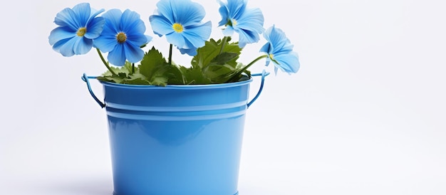 Balde azul com uma flor decorativa em fundo branco simbolizando um fim de semana feliz