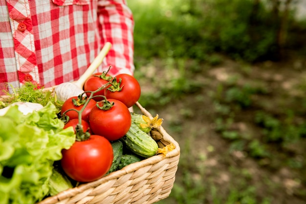 Balde com tomates e pepinos