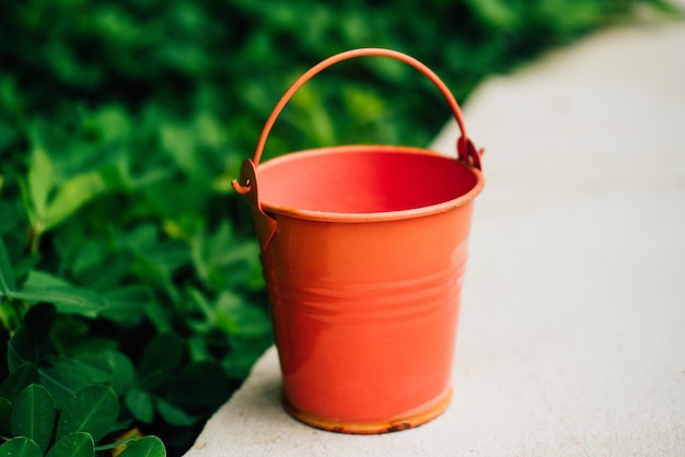 Baldes de rega de coral para plantas no jardim