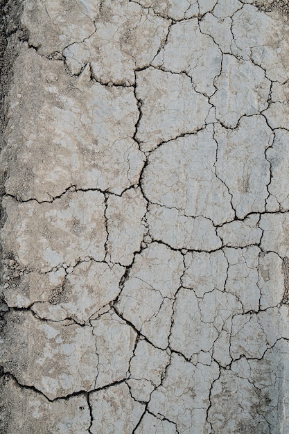 Baldosas de textura de tierra seca gris agrietada Vista superior