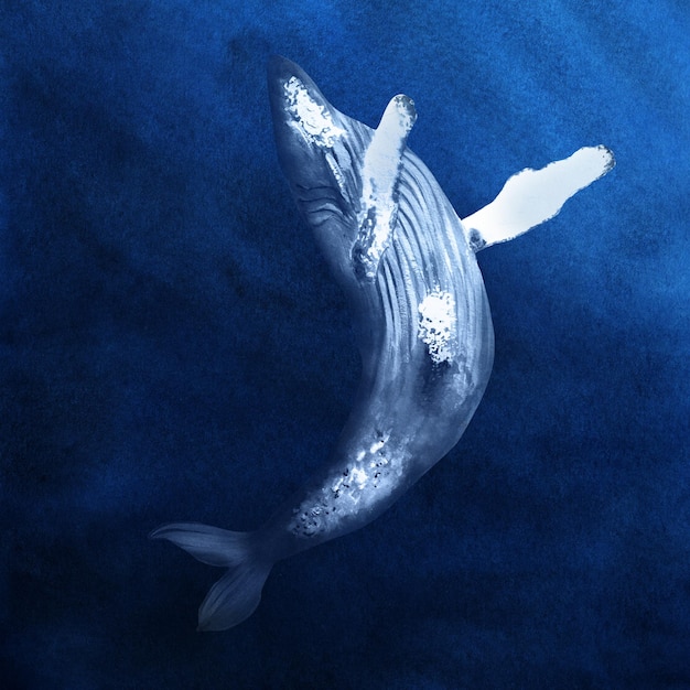 Baleia jubarte em aquarela desenhada de mão