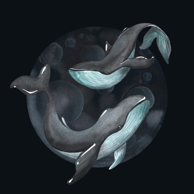 Baleias negras com cor turquesa sobre fundo preto com a lua Ilustração em aquarela Composição sobre fundo branco da coleção BALEIAS Para design e decoração