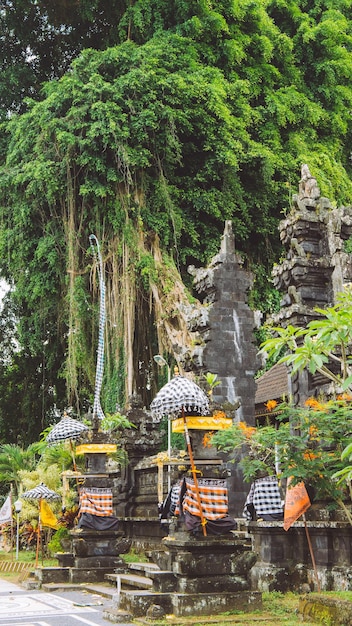 Bali-Tempeleingang mit Wächterstatue und riesigem alten Banyan-Baum im Hintergrund Indonesien