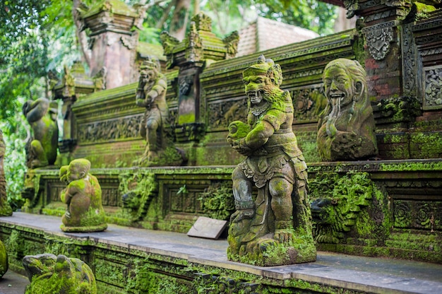 Balinesischer Tempel bedeckt mit Moos, Indonesien
