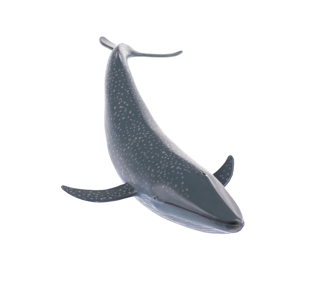 ballena de goma aislada sobre un fondo blanco