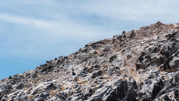 Ballestas-Inseln Paracas Ica Peru