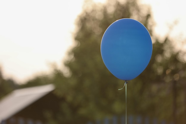 Ballon vor dem Hintergrund der Natur