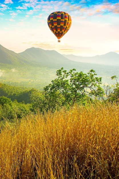 Ballons und Berge am MorgenBunte Heißluftballons fliegen über den Berg