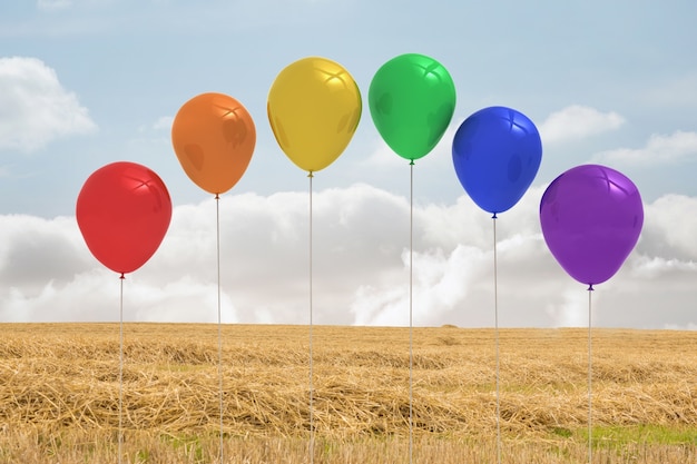 Balões acima de um campo