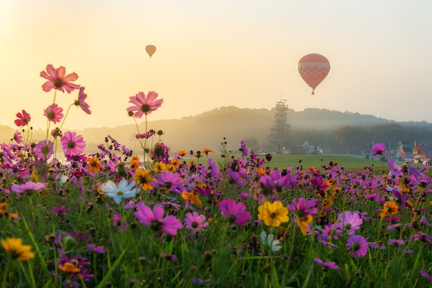 Foto balões de ar quente coloridos no início da manhã