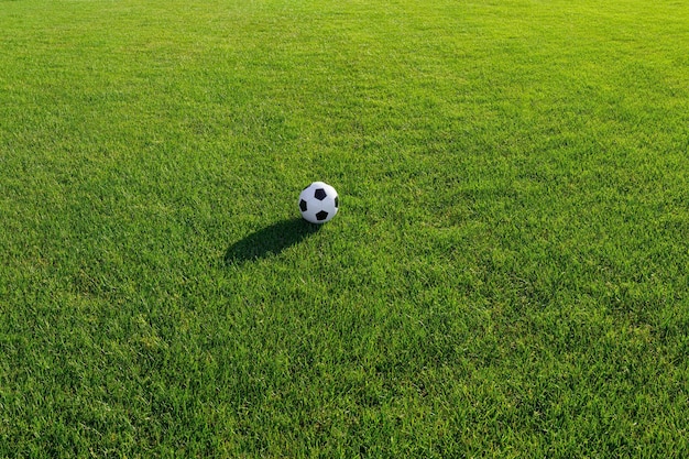 Balón de fútbol en campo verde