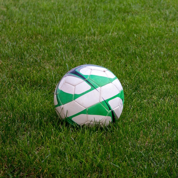 Foto un balón de fútbol verde y blanco está en la hierba.