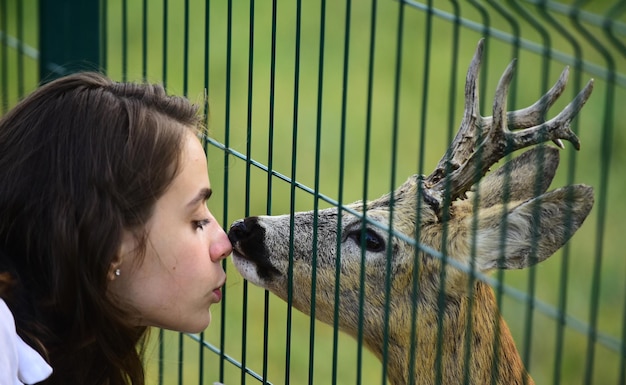 Bambi de ciervo en la jaula del zoológico. Ciervos bambi y concepto de animales salvajes. Niña alimenta a un ciervo en el parque.