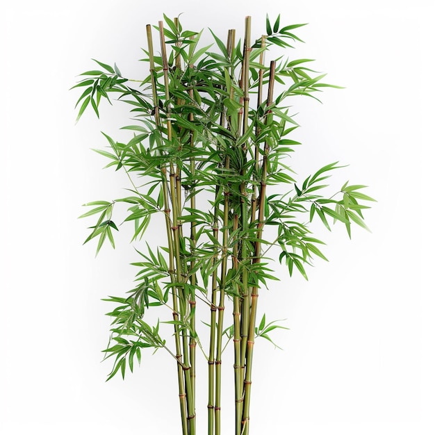 Bamboo árvore folha planta caule e bastão 3d árvore de bambu Ai Generative